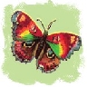 avatar019