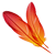 logo-imageready