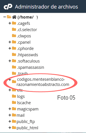 Subdominio
